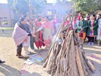 Lohri Celebration